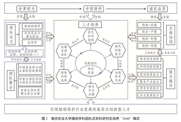 灵活组排与单双排差异解析：探索组排模式的独特之处